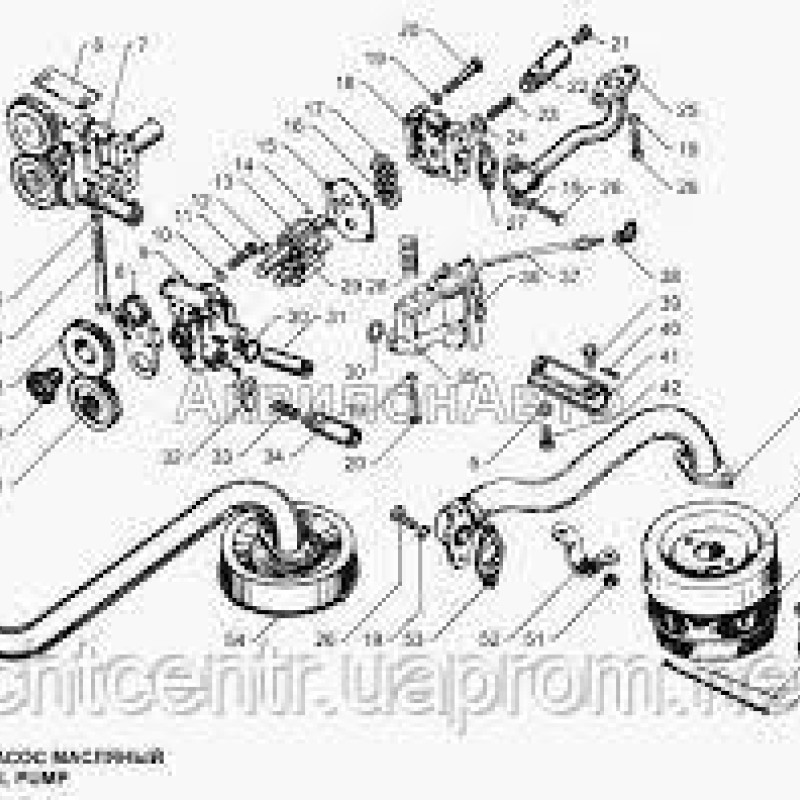 236-1011040, шестірня маслян.насоса ведуча ЯМЗ, КРАЗ, МАЗ